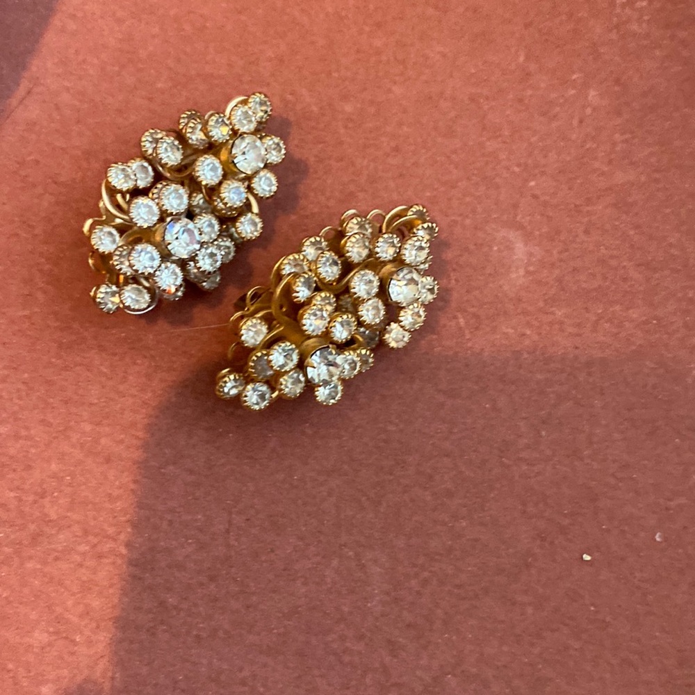 Elegant cup earrings